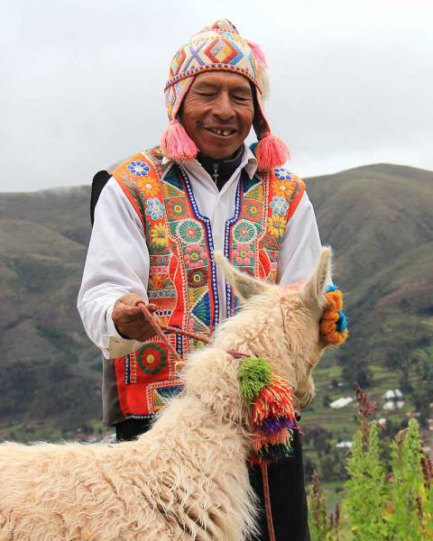 alpaca sostentamento economico