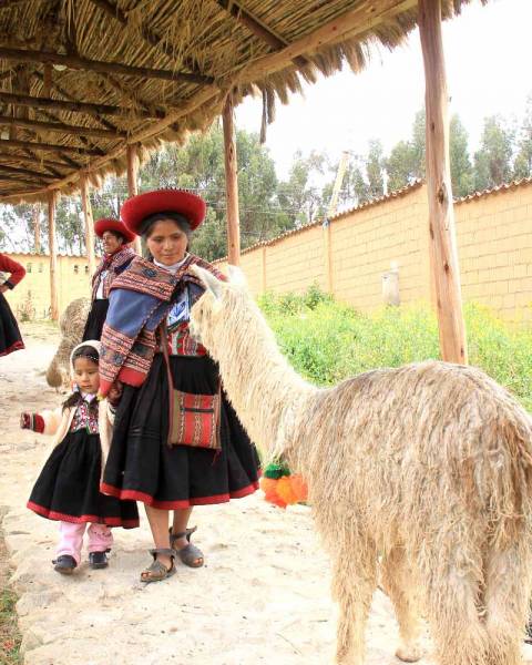 lana de alpaca LaMamita