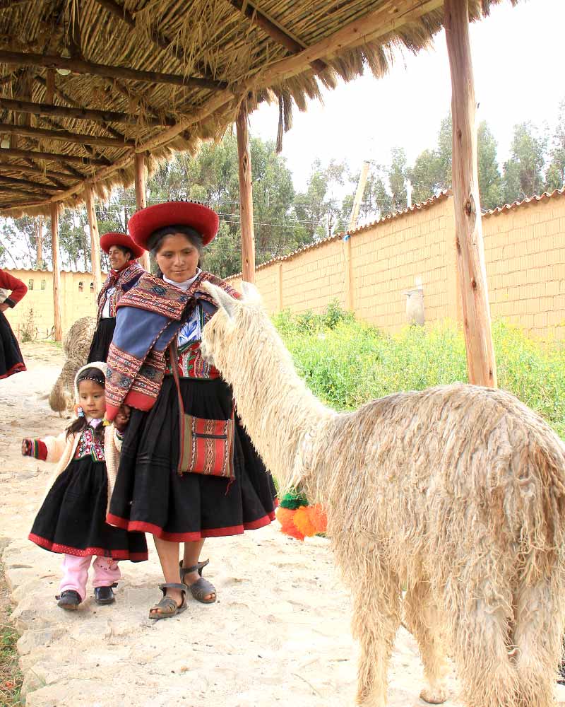 Propiedades de la fibra de alpaca