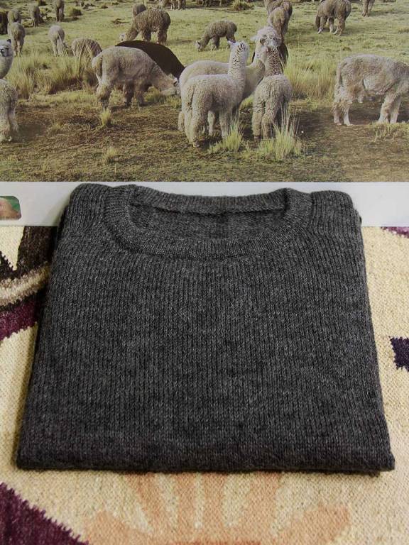 Jersey alpaca Javier - UNISEX