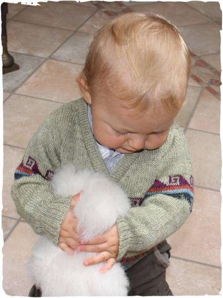 Chaqueta de alpaca Achille