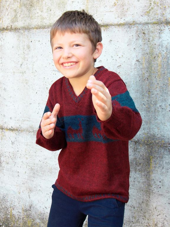 pullover Alpaca Attila.