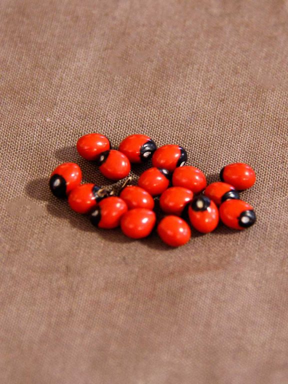 Huayruro earrings Inca.