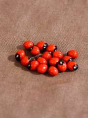 Huayruro earrings Inca.