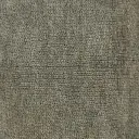 verde salvia cod.1